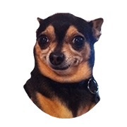 Avatar korisnika