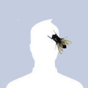 Avatar korisnika