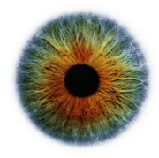 Avatar korisnika